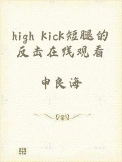 high kick短腿的反击在线观看